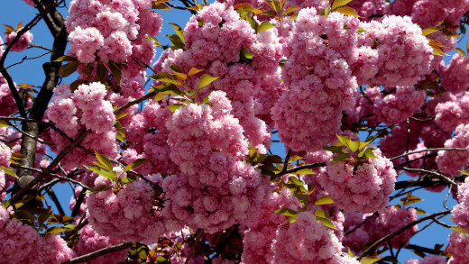 1478092 (a): :2560x1440